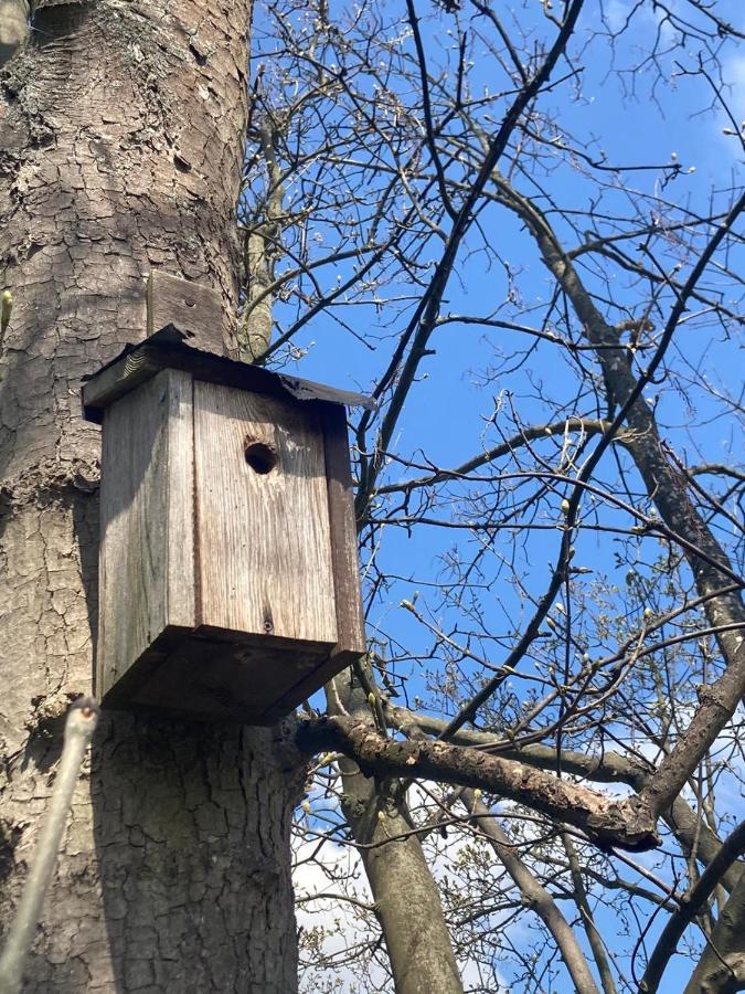 Villa Familienfreundliche Unterkunft direkt am Nationalpark unteres Odertal Criewen Exterior foto