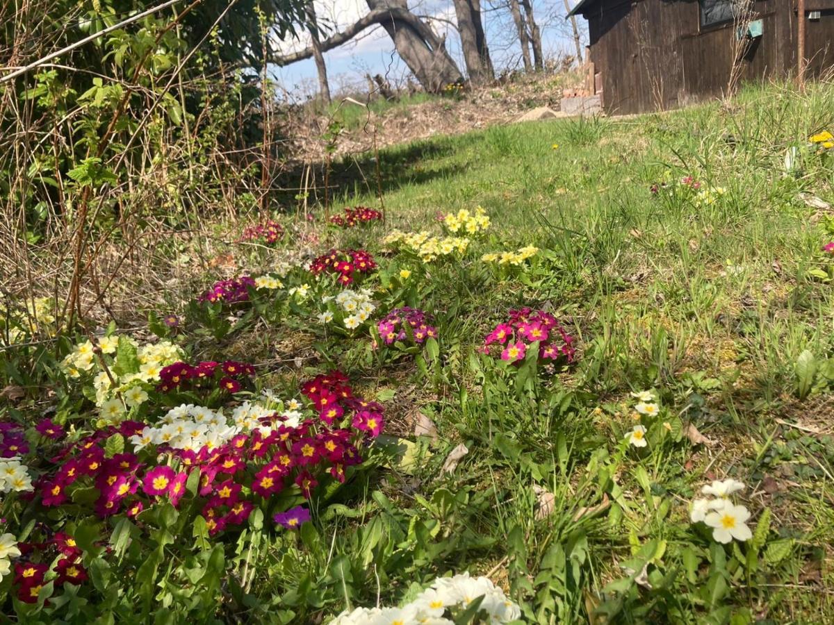 Villa Familienfreundliche Unterkunft direkt am Nationalpark unteres Odertal Criewen Exterior foto